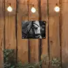 Paard - Schimmel - Portret tuinposter los doek klein -sfeer1