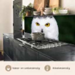 Sneeuwuil - Portret - Geel keuken achterwand 2 middel -usp_NL