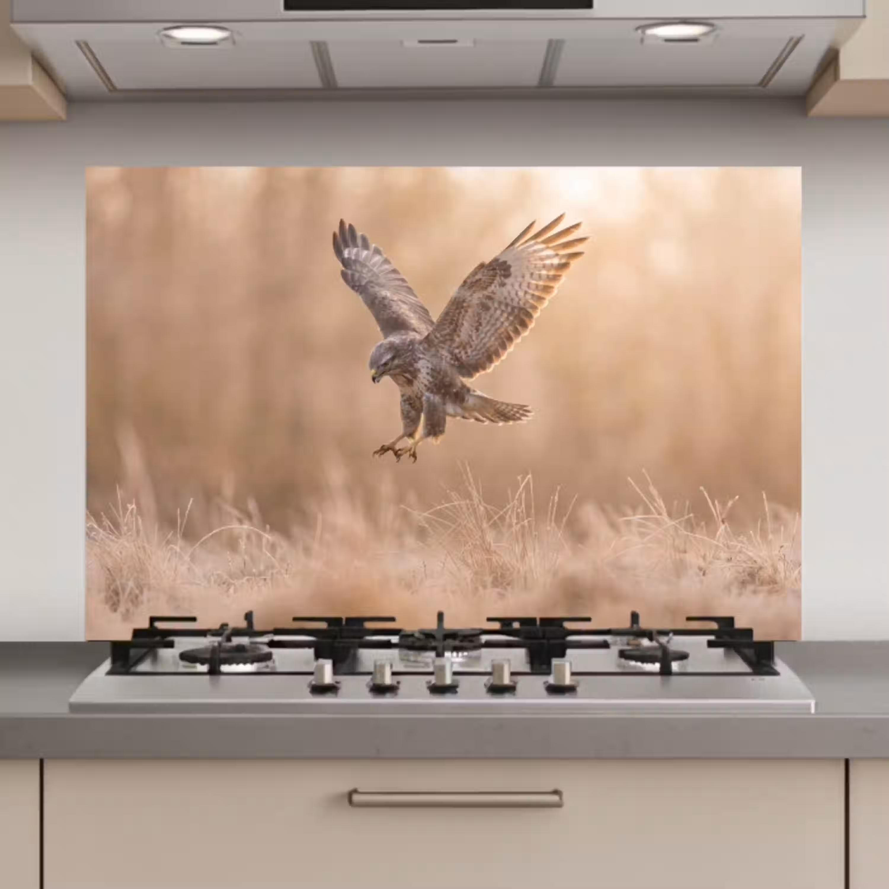 Buizerd - Roofvogel - Natuur - Bruin keuken achterwand spatscherm klein -3d_website