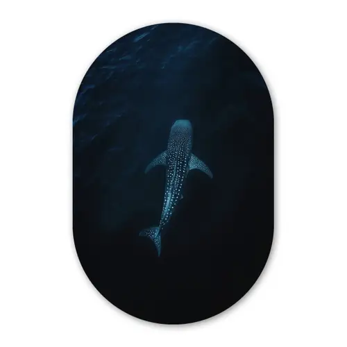 Oceaan - Walvishaai - Donkerblauw - Vlekken Wandcirkel Ovaal Glas middel -3d