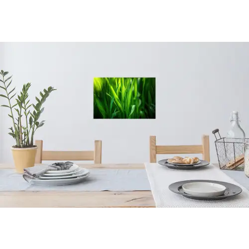Grassprieten - Lichtinval - Groen Muursticker klein -eettafel