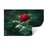 Roos - Bladeren - Dieprood Muursticker klein -3d