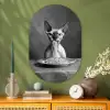 Sphynx - Kat - Dieren - Humor - Spaghetti - Zwart Wit Wandcirkel Ovaal Glas middel -sfeer2