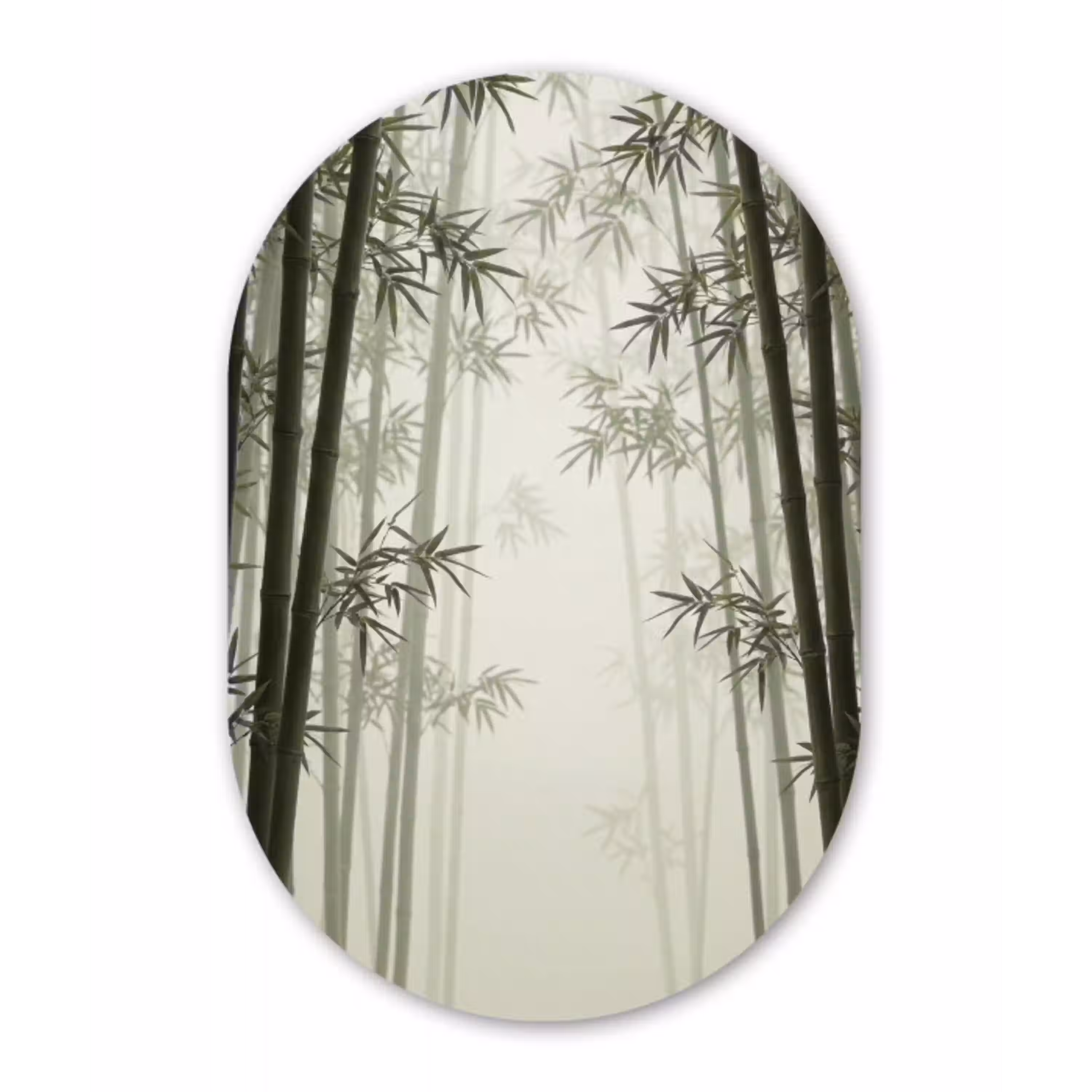 Bamboe - Bos - Mist - Natuur Wandcirkel Ovaal Aluminium middel -3d