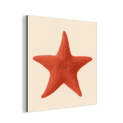 Zeester - Bobbels - Rood aluminium wit klein -3d