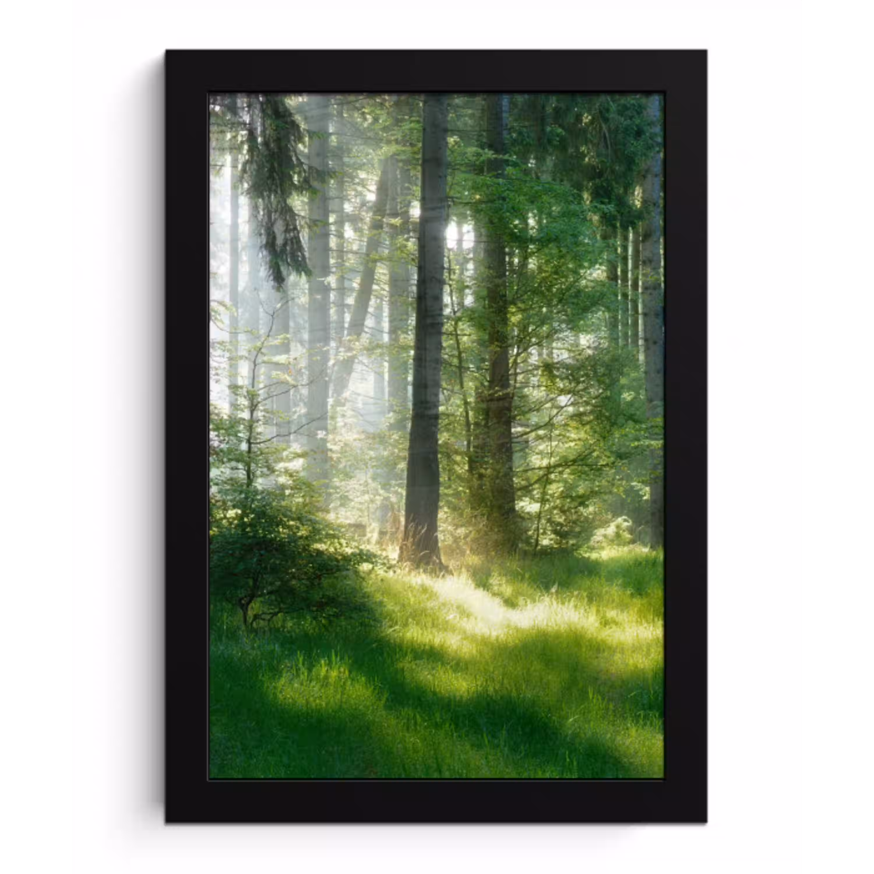 Natuur - Bomen - Bos - Groen - Zon - Gras - Planten fotolijst zwart zonder passe partout klein -3d