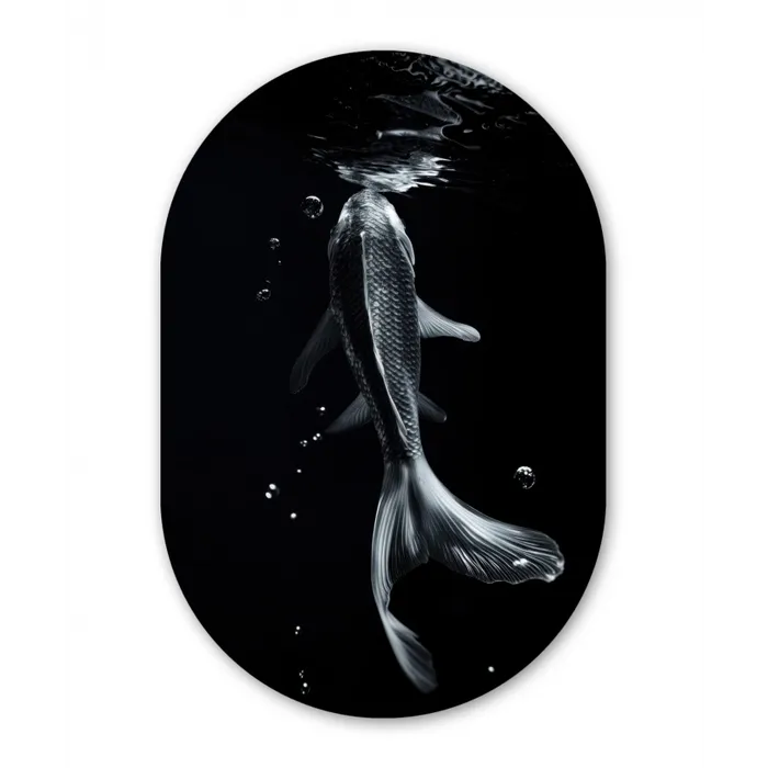 Koi - Vissen - Water - Zwart Wandcirkel Ovaal Glas middel -3d