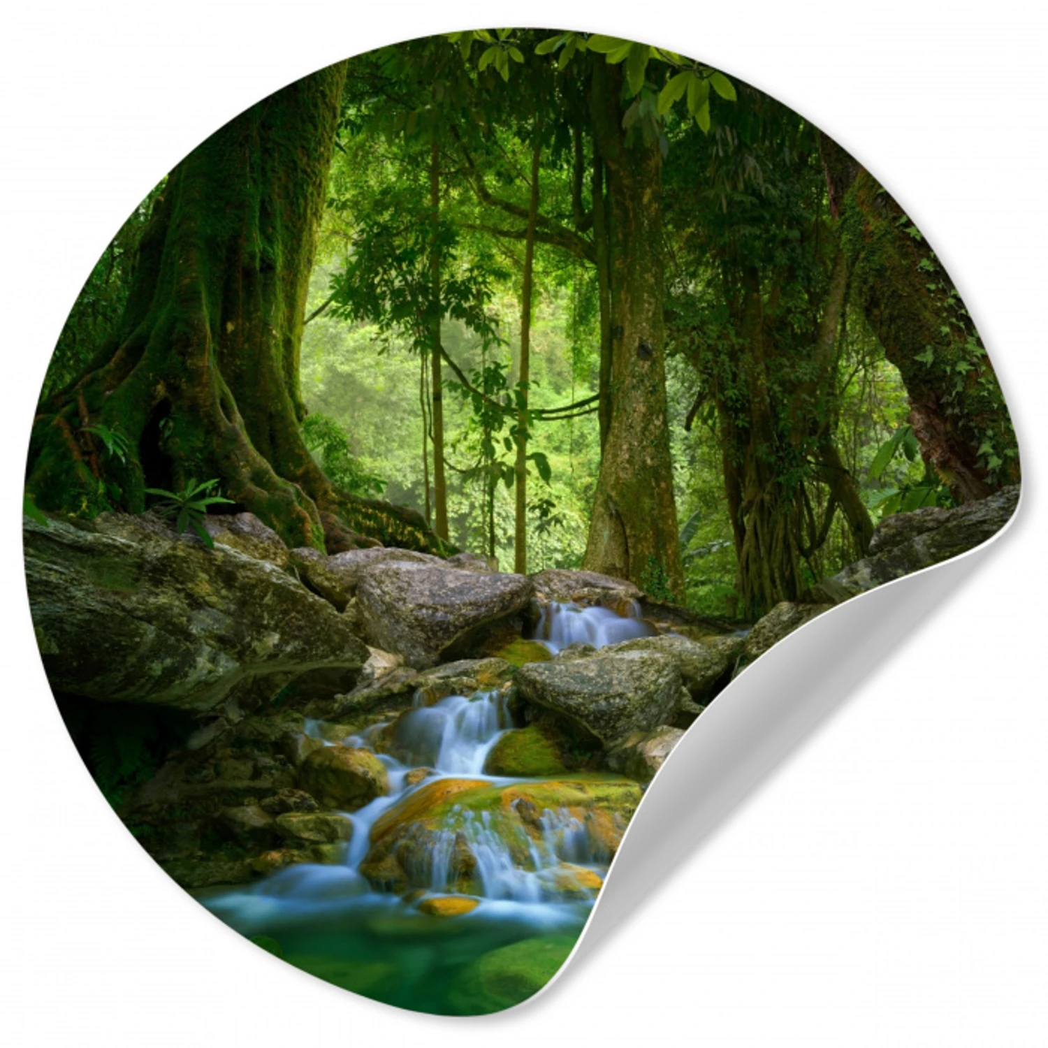Jungle - Stenen - Water - Natuur - Planten Wandcirkel behangsticker klein -3d