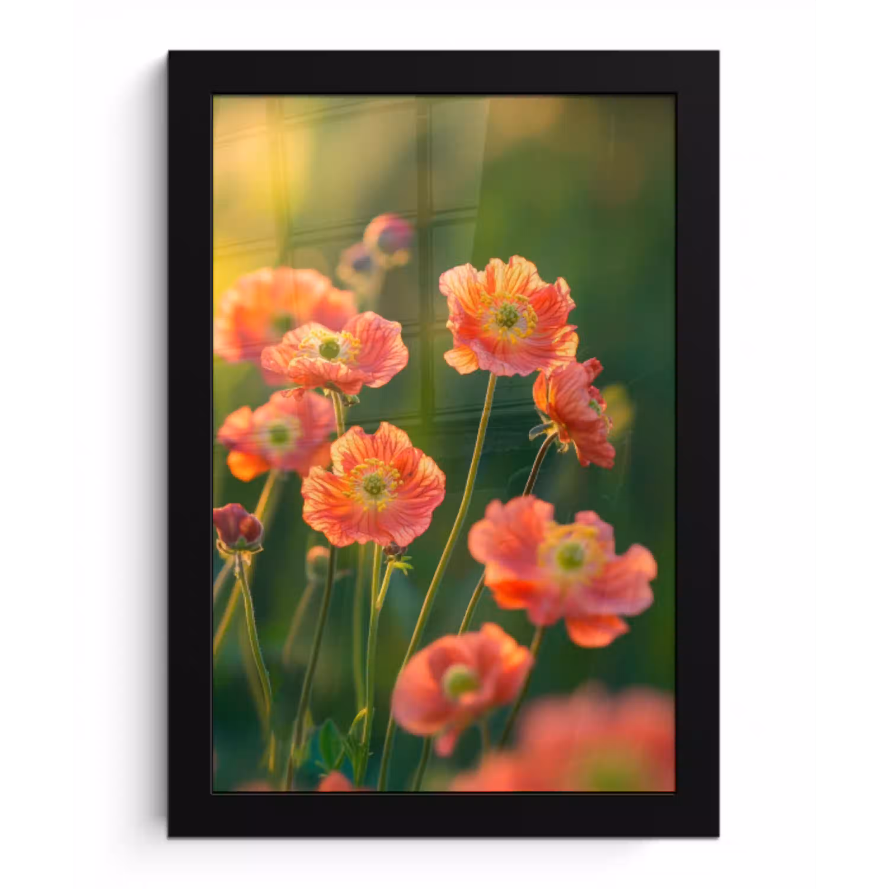 Bloemenveld - Zonnestralen - Oranje fotolijst zwart zonder passe partout klein -3d