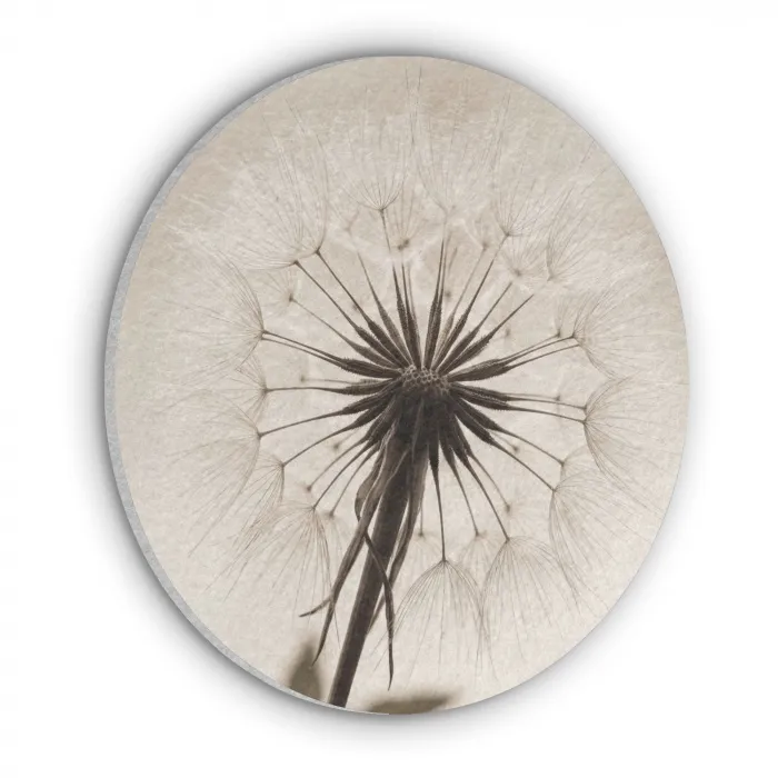 Paardenbloem - Minimalistisch - Wit Akoestische PET Vilt - Rond klein -3d
