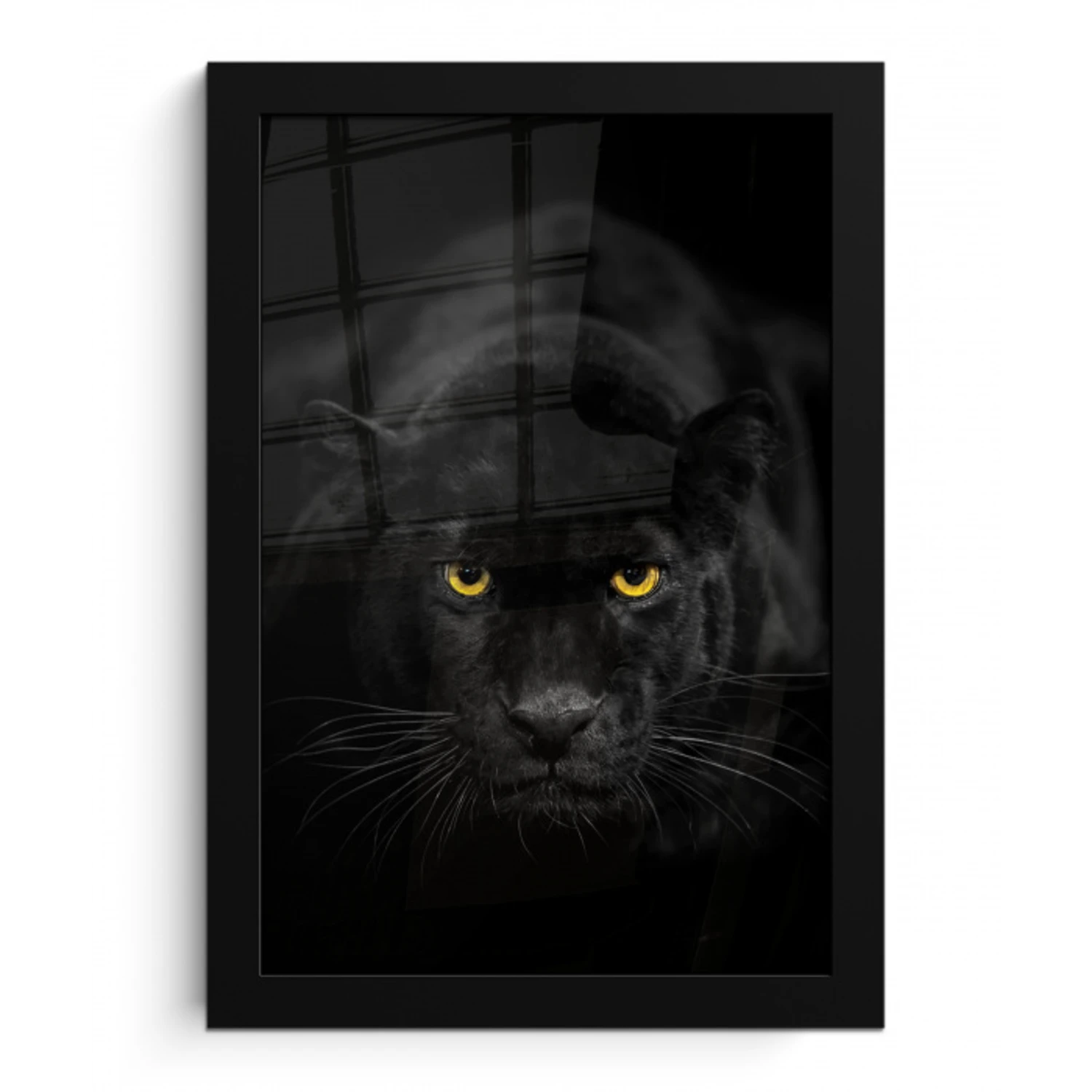 Panter - Dieren - Zwart - Ogen fotolijst zwart zonder passe partout klein -3d