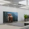 Schotse hooglander - Berg - Landschap - Bomen - Koe - Natuur keuken achterwand spatscherm klein -3d_schuin