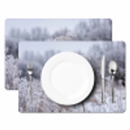 Schermbloem - Rijp - Kristallen - Winter - Delicaat Placemat vinyl groot -zzsfeer2_Kitchenyeah-website