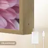 Dahlia - Bloem - Close up - Roze Light Box met batterij (Wandlamp) middel -USP_websiteoplaadbaarNL
