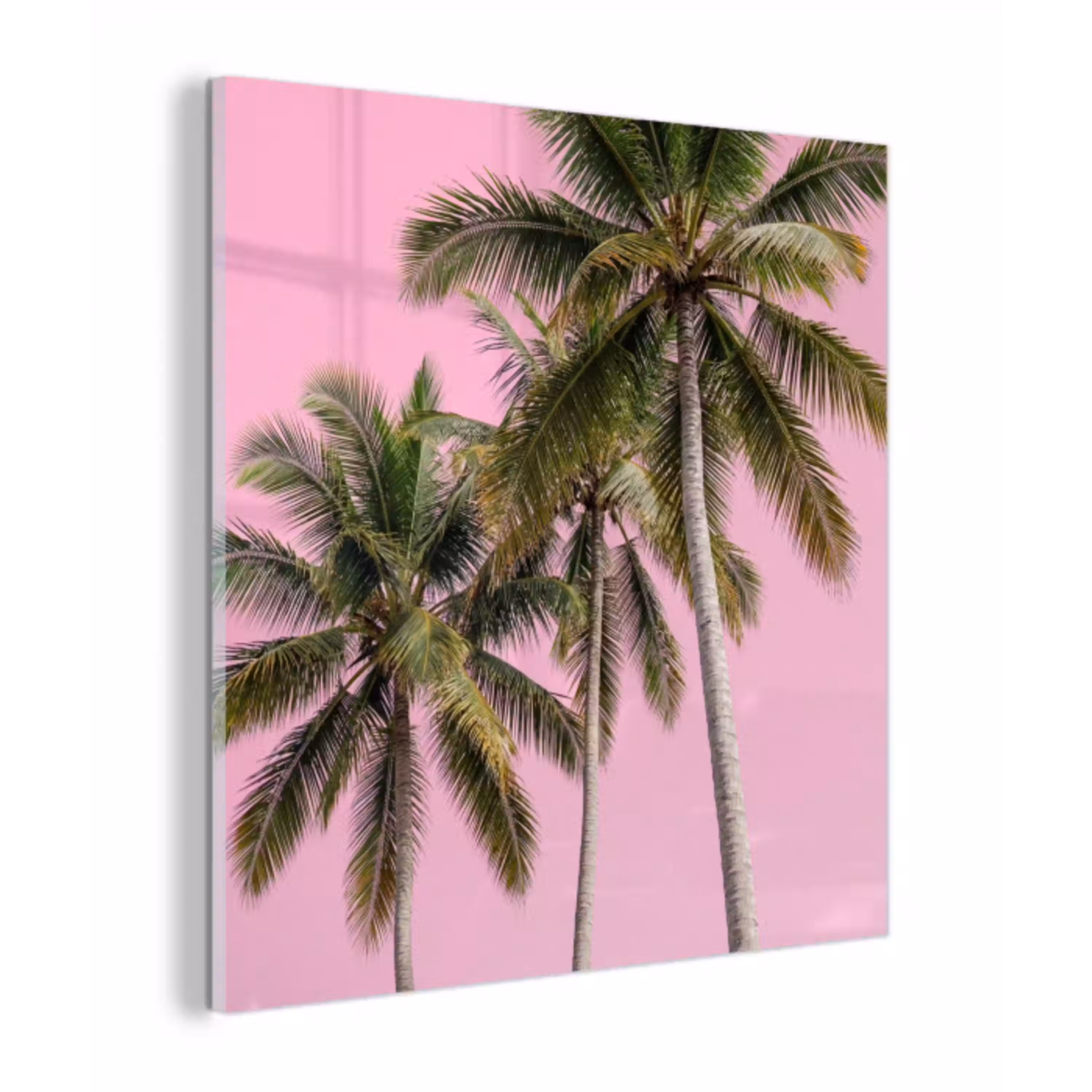 Palmboom - Tropisch - Pink plexiglas 5mm klein -z3d