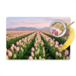 Tulpen - Landschap - Roze Placemat vinyl groot -zzzproduct_Kitchenyeah-website