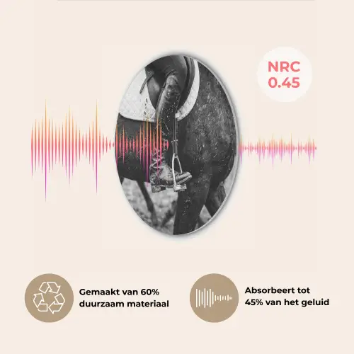 Paard - Sport - Zwart - Wit Akoestische PET Vilt - Rond klein -USP_NL
