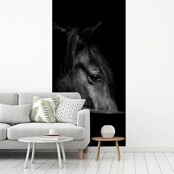 Paarden - Portret - Zwart - Dieren fotobehang vinyl groot -woonkamer