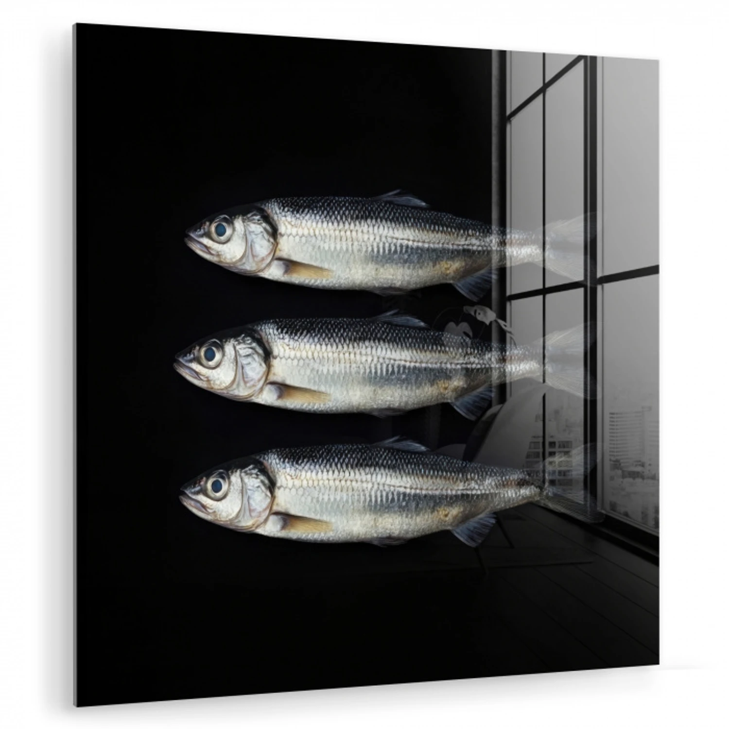 Haring - Vissen - Zwart plexiglas 5mm klein -zzzproduct_nieuw