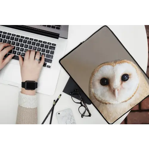 Uil - Bruin - Wit laptophoes neopreen klein -bureau