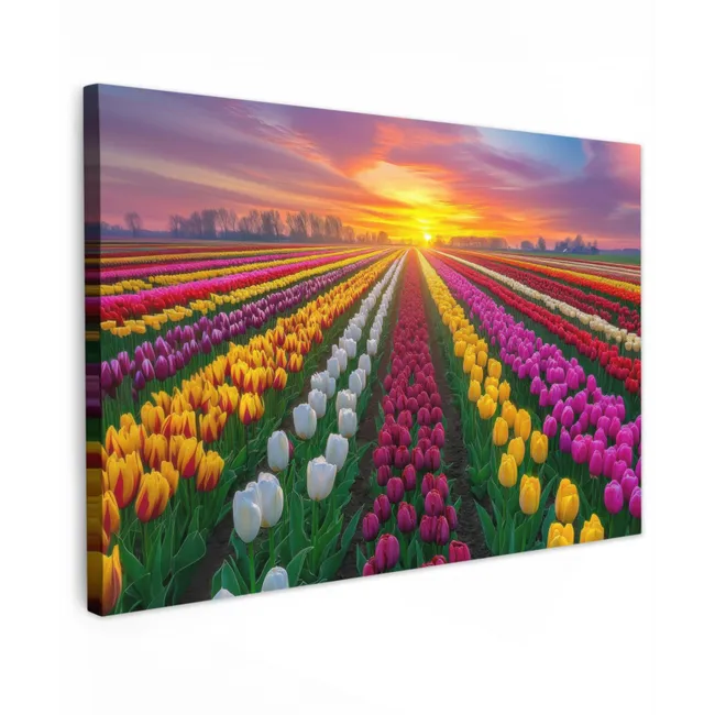 Buiten canvas - Tulpenveld - Zonsondergang - Kleurrijk