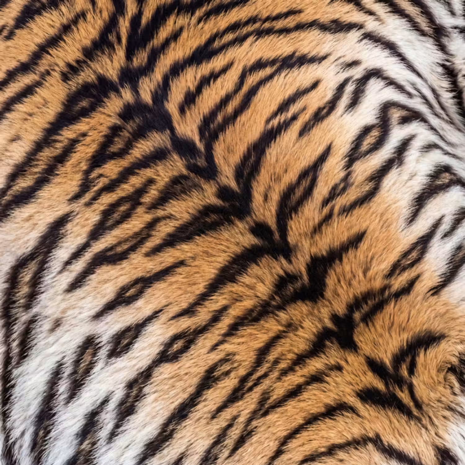 Tapete - Realistisch - Tigerfell - Schwarz