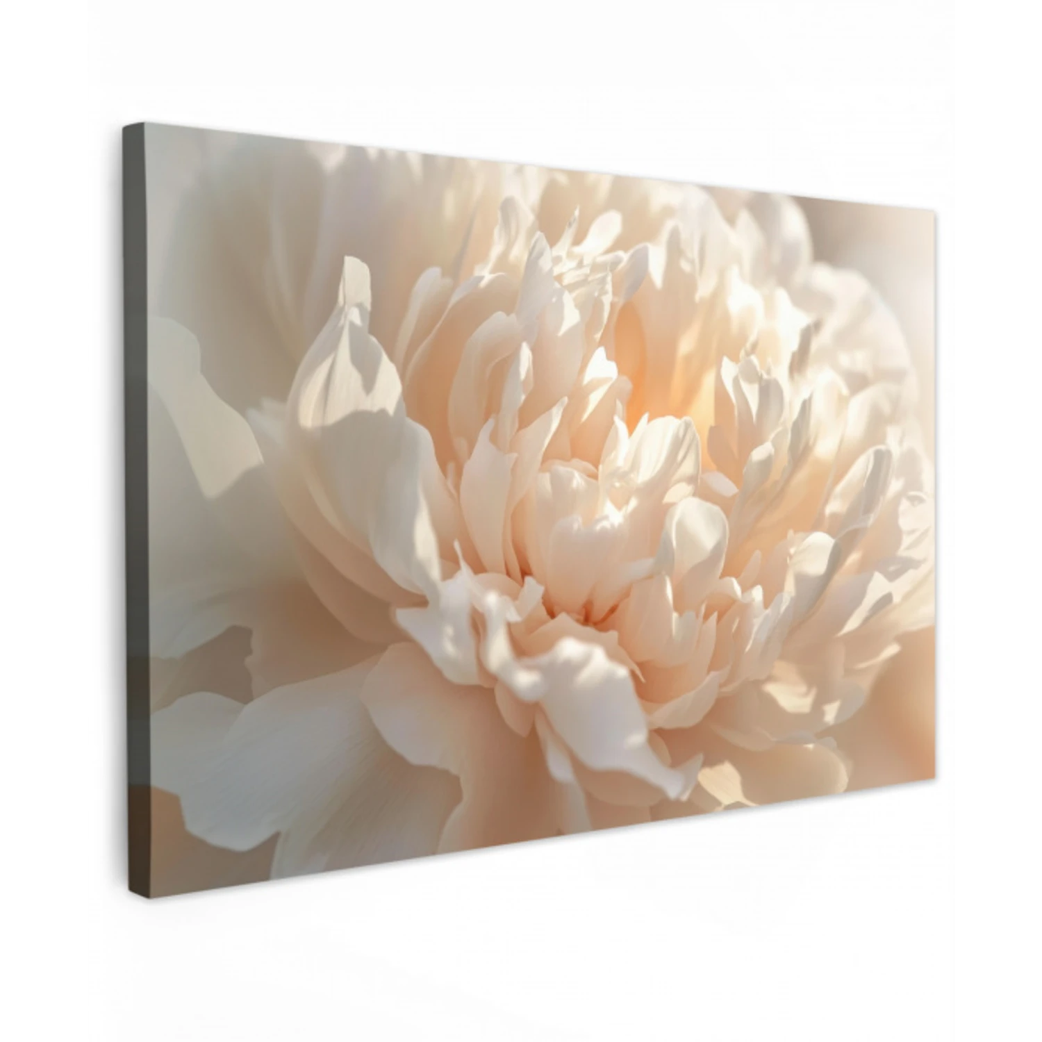 Close up - Pioenroos - Lichtroze Tuinposter op houten frame 2 cm dik klein -3d