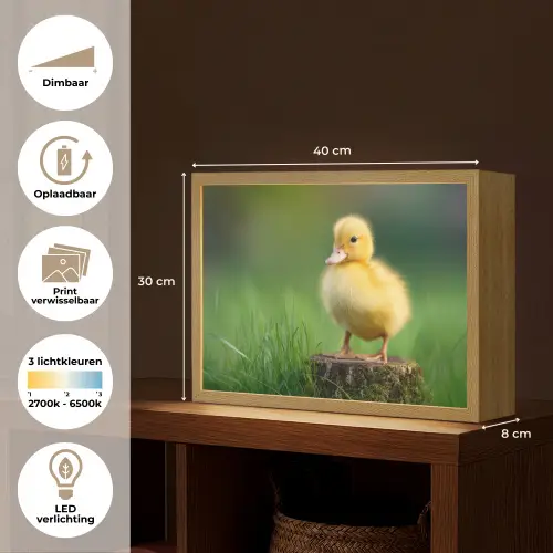 Kuiken - Eend - Geel - Gras Light Box met batterij (Wandlamp) middel -USP_websiteoverzichtNL