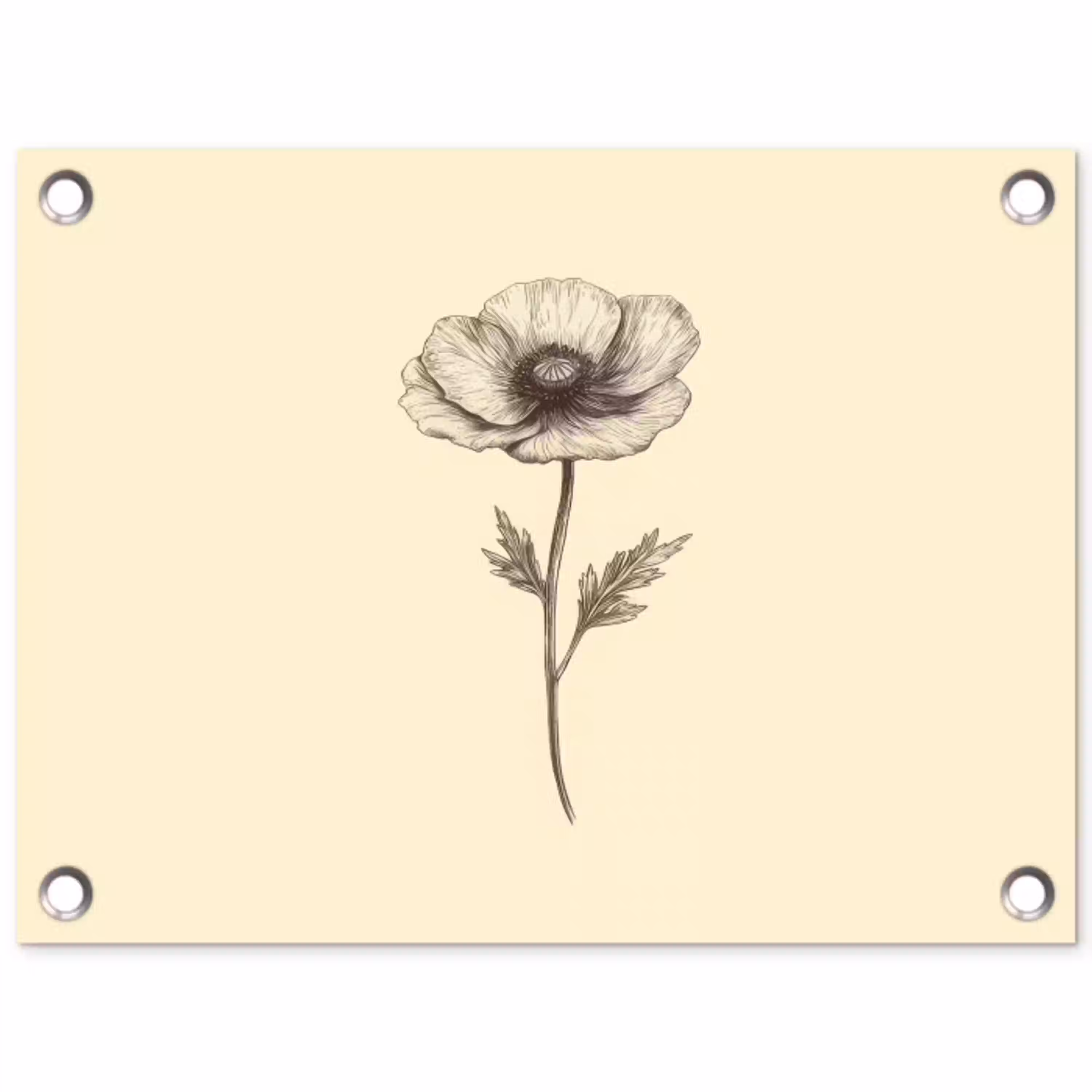 Klaproos - Illustratie - Zwart tuinposter los doek klein -3d