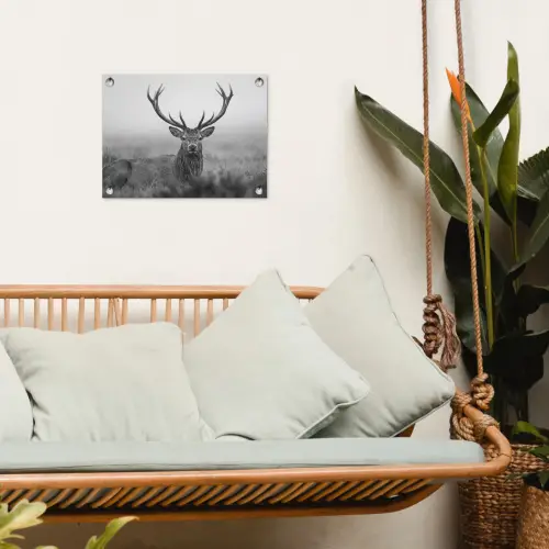 Hert - Mistig - Zwart - Wit tuinposter los doek klein -sfeer7