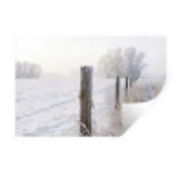 Hek - Sneeuw - Mist - Platteland - Nostalgisch Muursticker klein -3d