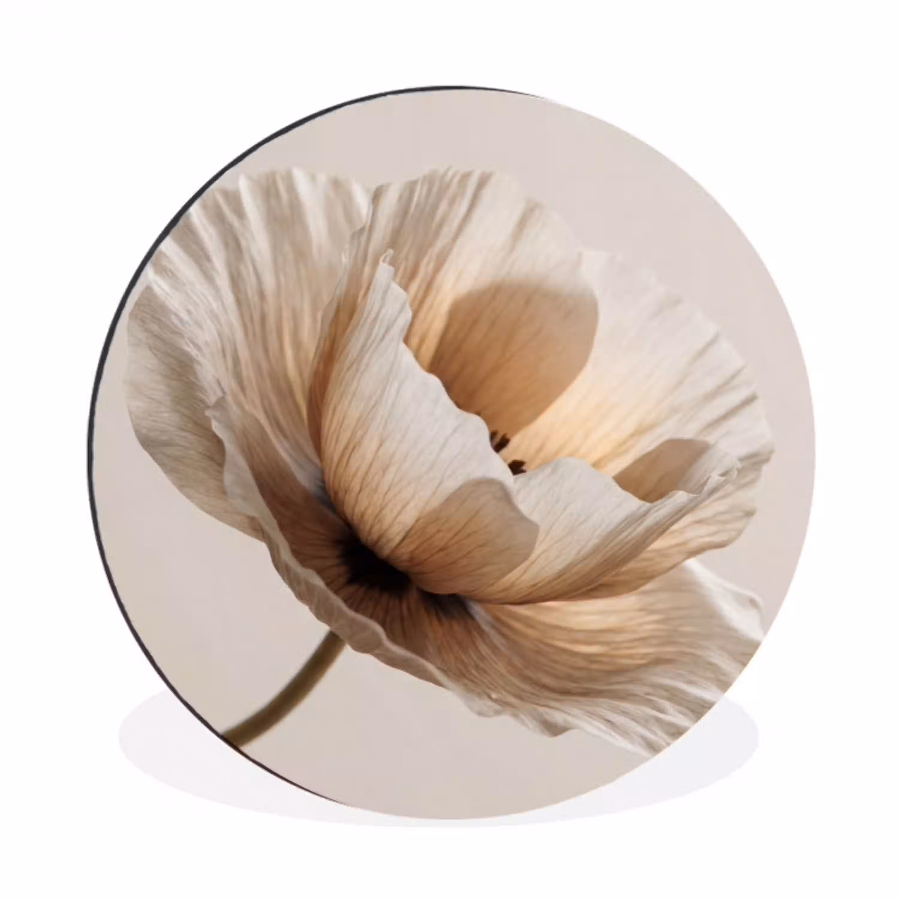 Bloem - Beige - Crème Wandcirkel aluminium klein -3d
