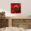 Close up - Bloem - Quote - Rood plexiglas 5mm klein -sfeer4