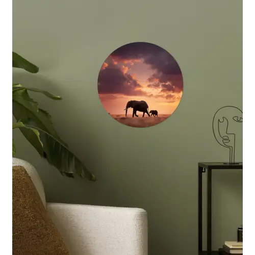 Olifanten - Grasland - Zonsondergang Wandcirkel behangsticker klein -sfeer2