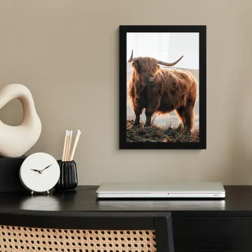 Schotse hooglander - Dieren - Landelijk - Landschap - Koe - Natuur fotolijst zwart zonder passe partout klein -sfeer1