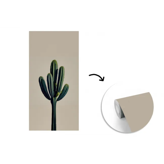 Cactus - Subtiel - Groen fotobehang vinyl groot -3d