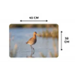 Vogel - Steltloper - Water - Natuur Placemat vinyl groot -specs