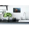 Schotse hooglander - Berg - Landschap - Bomen - Koe - Natuur Muursticker klein -keuken