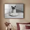 Kat - Siamees - Zwart Wit - Schattig - Dieren Textielframe zwart klein -sfeer1