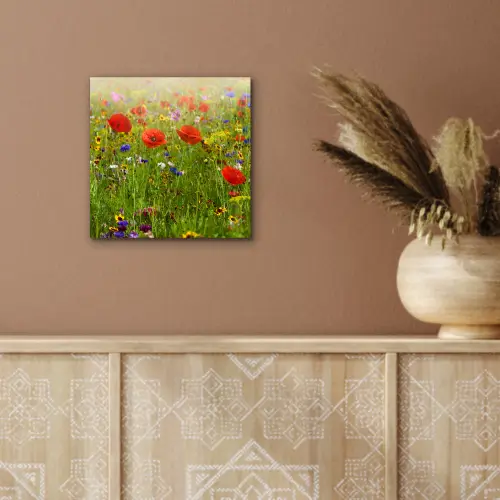 Lente - Bloemen - Rood - Klaproos - Gras - Groen aluminium wit klein -sfeer4