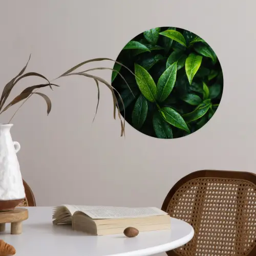 Bladeren - Regendruppels - Licht - Groen Wandcirkel behangsticker klein -sfeer3