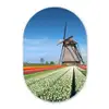 Molen tussen de tulpen in Nederland Wandcirkel Ovaal Forex klein -3d