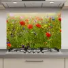 Lente - Bloemen - Rood - Klaproos - Gras - Groen keuken achterwand spatscherm klein -3d_website