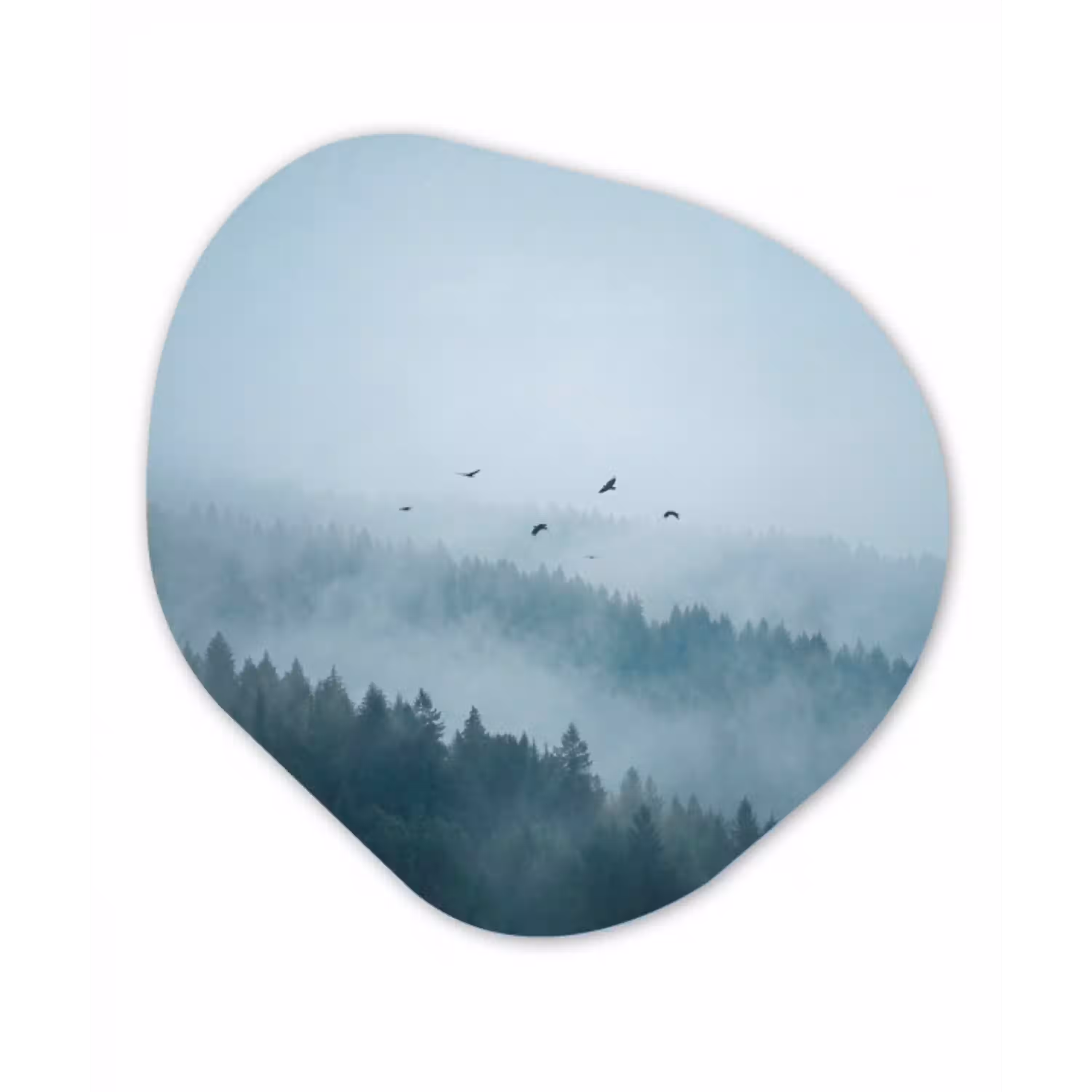 Bos - Mist - Vogels - Natuur - Groen Wandcirkel Organisch Forex 3mm klein -3d
