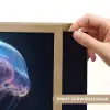 Tentakels - Kwal - Paars - Sprankeling Light Box met batterij (Wandlamp) middel -USP_websiteprintNL