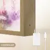 Meisje - Draak - Regenboog Light Box met batterij (Wandlamp kind) middel -USP_websiteoplaadbaarNL