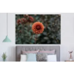 Dahlia - Bloem - Natuur - Sfeervol forex 5mm xxl -slaapkamer