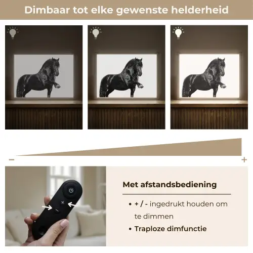 Fries - Hengst - Modern Light Box met batterij (Wandlamp) middel -USP_dimbaarNL