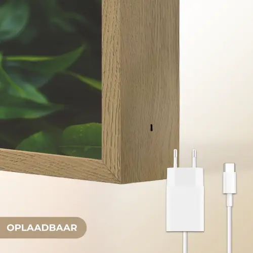 Bladeren - Regendruppels - Licht - Groen Light Box met batterij (Wandlamp) middel -USP_websiteoplaadbaarNL