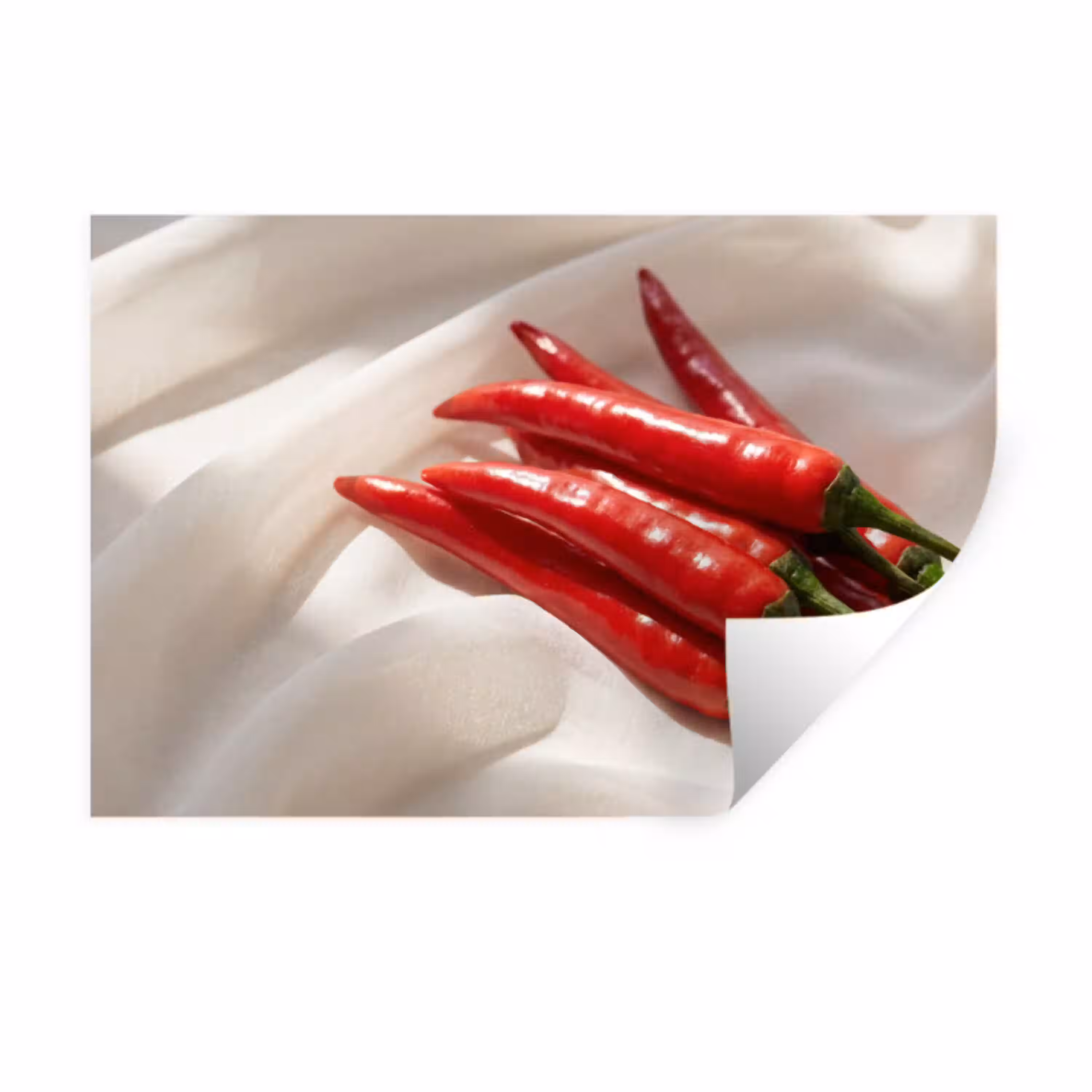 Peper - Rood - Eten Muursticker klein -3d